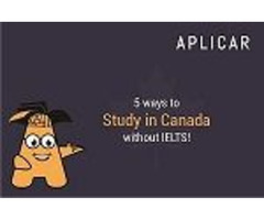 Apply for university in canada | free-classifieds-canada.com - 1