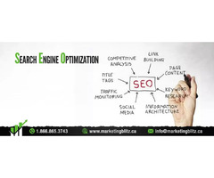 Get More Organic Web Traffic With Seo Company Mississauga | free-classifieds-canada.com - 1