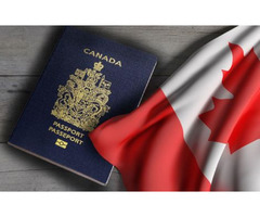 Owner Operator LMIA Work Permit Canada | Kennedy Immigration | free-classifieds-canada.com - 3