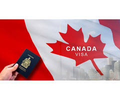 Best Immigration Services Provider in Surrey | Kennedy Immigration Solutions | free-classifieds-canada.com - 3