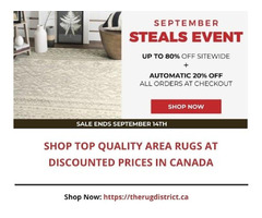 Buy Area Rugs at Discounted Prices in Canada | free-classifieds-canada.com - 1