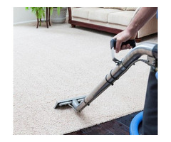Professional Carpet Cleaning Services in Edmonton | free-classifieds-canada.com - 2