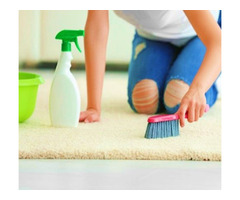 Professional Carpet Cleaning Services in Edmonton | free-classifieds-canada.com - 3