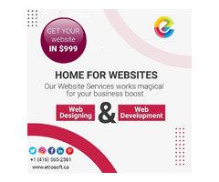 Best web design and developing company in Toronto | free-classifieds-canada.com - 2