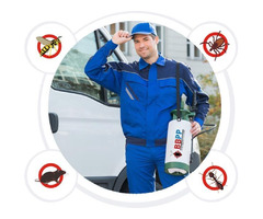 Mice Control Services in Woodbridge - with Guaranteed Results  | free-classifieds-canada.com - 1