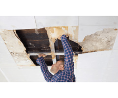 Zinc Inspections - Certified Home Inspectors in Surrey | free-classifieds-canada.com - 3