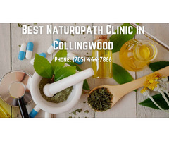 Best Naturopath Clinic in Collingwood, Ontario – Georgian Bay Integrative Medicine | free-classifieds-canada.com - 1