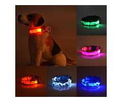 Camouflage Pet Supplies Luminous Dog Collar | free-classifieds-canada.com - 1
