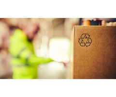 Best Eco-Friendly Packaging Materials | free-classifieds-canada.com - 1