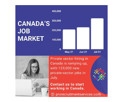 Pro recruitment Services Canada | free-classifieds-canada.com - 1