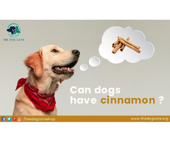 Can Dogs Have Cinnamon | free-classifieds-canada.com - 1