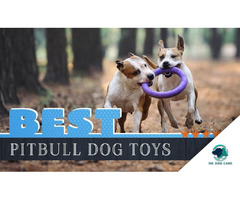 Toys for Pitbulls | free-classifieds-canada.com - 1