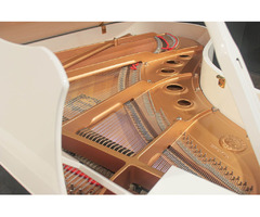 Baby Grand Piano Free | free-classifieds-canada.com - 4