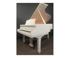Baby Grand Piano Free | free-classifieds-canada.com - 5