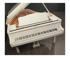 Baby Grand Piano Free | free-classifieds-canada.com - 6