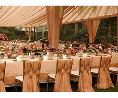 Discover Wedding Tent rentals in Kelowna | free-classifieds-canada.com - 1