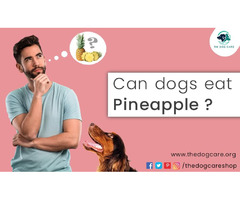 Can Dogs Eat Pineapple | free-classifieds-canada.com - 1