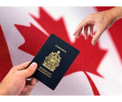 Provincial Nominee Program Canada | free-classifieds-canada.com - 1