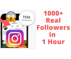 I will grow and promote your Instagram account | free-classifieds-canada.com - 1