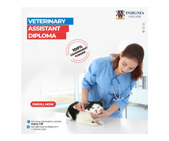 Veterinary Assistant Diploma in Delta BC  | free-classifieds-canada.com - 1