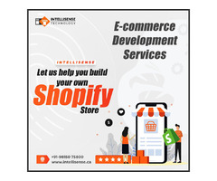 E-Commerce Website and App Development Services  | free-classifieds-canada.com - 1