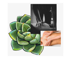 Kamloops RMT Massage – Desert Rose Wellness Studio | free-classifieds-canada.com - 2