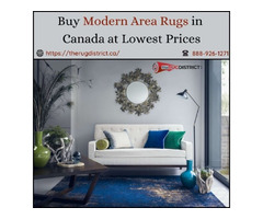 Buy Modern Area Rugs in Canada at Lowest Prices | free-classifieds-canada.com - 1