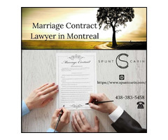 Marriage Contract Lawyer in Montreal - Spunt & Carin | free-classifieds-canada.com - 1