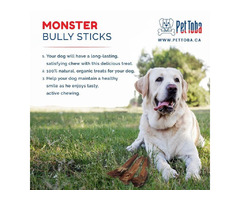 Monster Bully Stick for Sale | free-classifieds-canada.com - 1