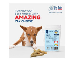 Yak Cheese for Sale | free-classifieds-canada.com - 1