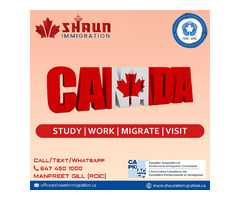 Everything You Need to Know About Business Immigration Services? | free-classifieds-canada.com - 1