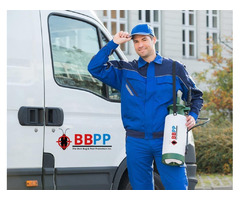 Environment Friendly Pest Control Services in Peel Region - BBPP  | free-classifieds-canada.com - 1