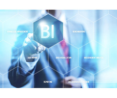 Business Intelligence - BI | free-classifieds-canada.com - 1