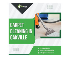 Professional Carpet Cleaning Service in Oakville | free-classifieds-canada.com - 1