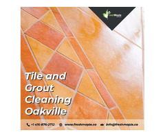 Best Tile and Grout Cleaning in Oakville | free-classifieds-canada.com - 1