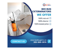Bed Bug Exterminator Service | free-classifieds-canada.com - 1