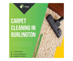 Professional Carpet Cleaning in Burlington | free-classifieds-canada.com - 1