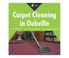 Top Carpet Cleaning in Oakville | free-classifieds-canada.com - 1