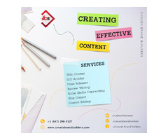 Hire A Professional Content Writer To Improve Your Business! | free-classifieds-canada.com - 1