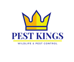 Pest Kings Wildlife Removal - Pest Control Barrie | free-classifieds-canada.com - 1