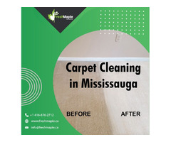 Excellent Carpet Cleaning in Mississauga | free-classifieds-canada.com - 1