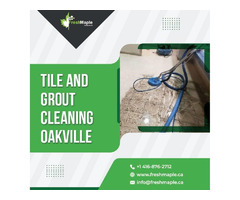 Leading Tile and Grout Cleaning in Ontario | free-classifieds-canada.com - 1