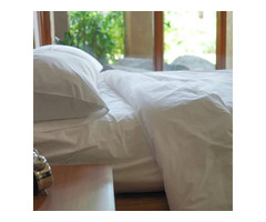 Buy Cool & Crisp Percale Pillowcase Set | free-classifieds-canada.com - 3