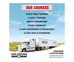 How to Choose The Best Driving Courses To Learn Driving Skills? | free-classifieds-canada.com - 1
