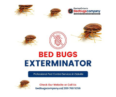Bed bugs Exterminator in Oakville | free-classifieds-canada.com - 1