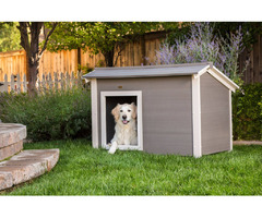 Custom Made Pet Furniture | free-classifieds-canada.com - 1