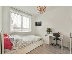 Find Cypress Downtown Student Residence in Toronto | free-classifieds-canada.com - 1