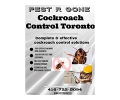 Cockroach Control Toronto Services - PestRGone | free-classifieds-canada.com - 1