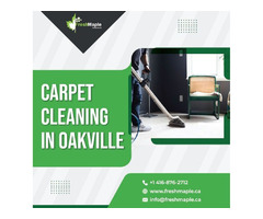 Best Carpet Cleaning in Oakville | free-classifieds-canada.com - 1
