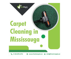 Professional Carpet Cleaning in Mississauga | free-classifieds-canada.com - 1